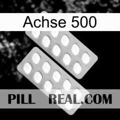 Axcil 500 27